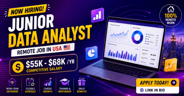Junior Data Analyst – Remote Job USA